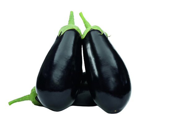 Eggplant